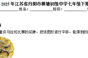 江苏省镇江市丹阳市横塘初级中学2024–2025学年七年级下学期期末数学模拟卷（含解析）