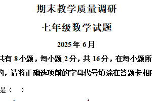 江苏省常州市溧阳市2024-2025学年下学期七年级数学期末试卷（含解析）