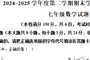 江苏省连云港市赣榆区2024-2025学年下学期七年级数学期末统考试卷（含解析）