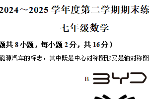 江苏省南京联合体2024~2025学年下学期七年级数学期末练习卷（含解析）