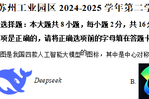 江苏省苏州市苏州工业园区2024-2025学年七年级下学期期末调研数学试卷（含解析）