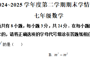 江苏省宿迁市沭阳县2024-2025学年七年级下学期6月期末乡镇联考数学试题（含解析）