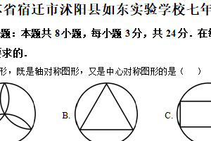 江苏省宿迁市沭阳县如东实验学校2024-2025学年七年级下学期期末数学试卷（含解析）