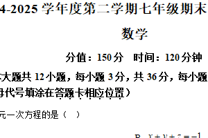 江苏省宿迁市泗阳县2024-2025学年七年级下学期期末测试数学试卷（含解析）