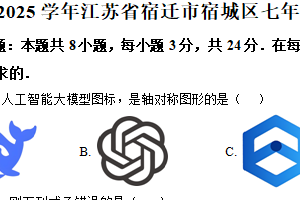 江苏省宿迁市宿城区2024-2025学年七年级下学期期末数学试卷（含解析）