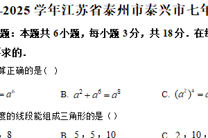 江苏省泰州市泰兴市2024—2025学年下学期七年级期末数学试卷（含解析）