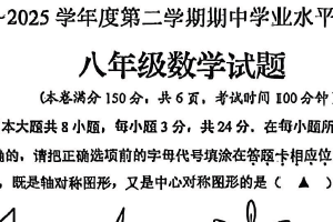 江苏省连云港市新海实验中学2024-2025学年八年级下学期数学期中试卷（含答案）
