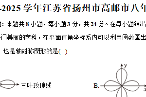 江苏省扬州市高邮市2024—2025学年下学期八年级期末数学试卷（含答案）