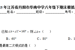 江苏省镇江市丹阳市华南实验初级中学2024—2025学年下学期八年级数学期末模拟卷（含解析）　