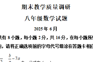 江苏省常州市溧阳市2024-2025学年八年级下学期八年级期末考试数学试题（含解析）