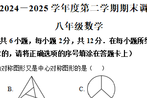 江苏省南京市建邺区金陵中学河西分校2024-2025学年八年级下学期期末数学试题（含解析）