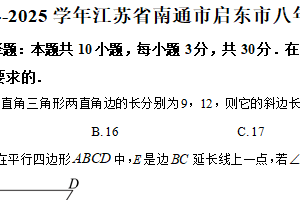江苏省南通市启东市2024—2025学年下学期八年级期末数学试卷（含解析）