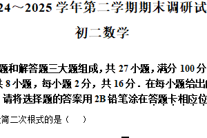 江苏省苏州市苏州工业园区2024-2025学年八年级下学期期末调研数学卷（含解析）