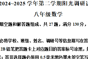 江苏省苏州市新区2024-2025学年下学期八年级数学期末试卷（含解析）