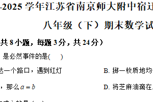 江苏省宿迁市宿城区南京师范大学附属中学宿迁分校学院路校区2024-2025学年八年级下学期期末数学试卷（含解析）