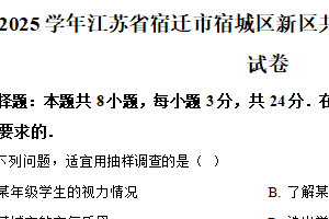 江苏省宿迁市宿城区新区共同体2024-2025学年八年级下学期期末数学试卷（含解析）