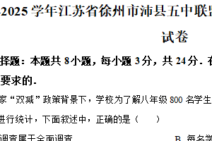 江苏省徐州市沛县五中联盟学区2024-2025学年八年级下学期6月期末数学试题（含解析）