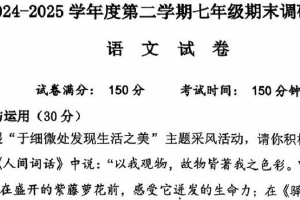 江苏省宿迁市宿城区宿迁市苏州外国语学校2024-2025学年七年级下学期期末考试语文试题（无答案）