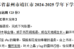 江苏省泰州市靖江市2024-2025学年七年级下学期期末语文试卷（含解析）
