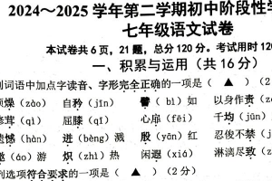 江苏省镇江市2024-2025学年七年级下学期语文期末试卷（无答案）