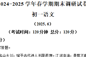 江苏省无锡市锡山区2024-2025学年七年级下学期期末语文试题（含解析）