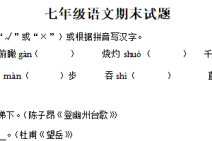 江苏省徐州市沛县初级学区2024-2025学年七年级下学期期末语文试题（含解析）