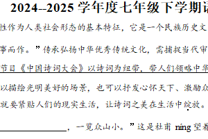 江苏省徐州市沛县汉源学区2024-2025学年七年级下学期期末语文试题（含解析）