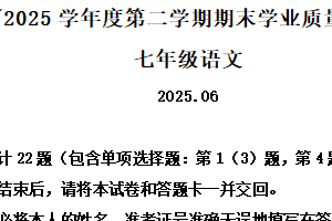 江苏省扬州市高邮市2024-2025学年七年级下学期期末语文试题（含解析）