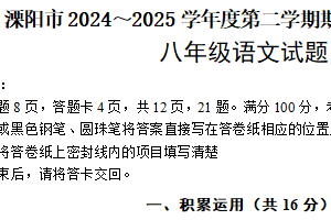 江苏省常州市溧阳市2024-2025学年八年级下学期期末质量调研测试语文试题（含答案）