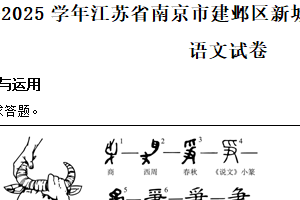 江苏省南京市建邺区新城中学2024-2025学年八年级下学期期末语文试题（含解析）