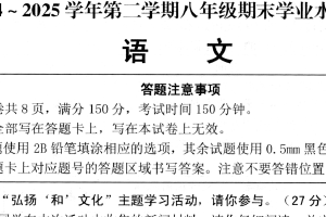 江苏省宿迁市泗阳县2024—2025学年八年级下学期期末测试语文试卷（含答案）