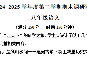 江苏省宿迁市宿城区2024-2025学年八年级下学期期末语文试题（含解析）