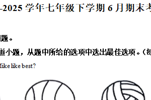 江苏省宿迁市沭阳县乡镇期末2024-2025学年七年级下学期6月期末英语试题（含解析+听力音频）