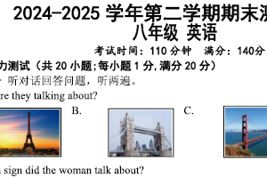 江苏省扬州市仪征市2024-2025学年八年级下学期期末考试英语试卷（含答案）