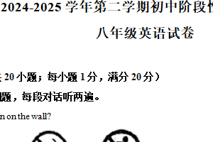 江苏省镇江市区2024-2025学年八年级下学期期末考试英语试卷（含解析）