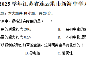 江苏省连云港市新海中学2024-2025学年八年级（下）期末物理试卷（含解析）