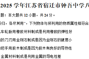 江苏省宿迁市钟吾初级中学2024-2025学年八年级下学期期末物理试卷（含解析）