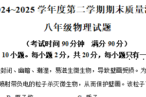 江苏省南通市启东市2024-2025学年八年级下学期期末物理试题（含解析）