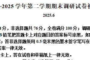 江苏省苏州工业园区2024-2025学年八年级下学期期末调研物理试题（含解析）
