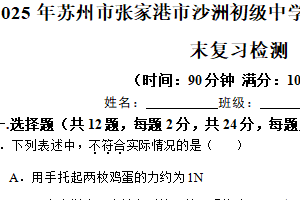 江苏省苏州市张家港市沙洲初级中学2024-2025学年八年级下学期物理期末复习检测卷（含解析）