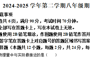 江苏省宿迁市泗阳县2024－2025学年八年级下学期期末物理试题（含解析）