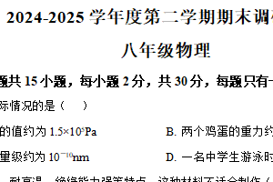 江苏省宿迁市宿城区2024-2025学年八年级下学期期末物理试题（含解析）