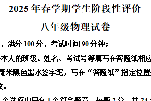 江苏省泰州市兴化市2024-2025学年八年级下学期期末物理试题（含解析）
