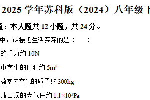 江苏省徐州市丰县2024-2025学年八年级下学期期末模拟物理试题（含解析）