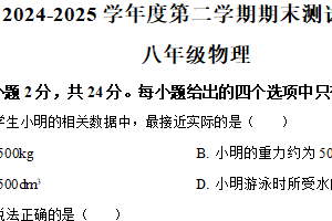 江苏省扬州市宝应县2024-2025学年八年级下学期期末物理试题（含解析）