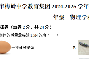 江苏省扬州市梅岭中学教育集团2024-2025学年八年级下学期期末物理试题（含解析）
