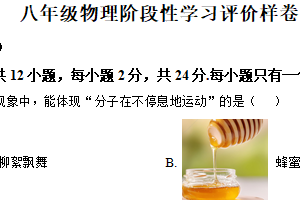 江苏省镇江市句容市2024-2025学年八年级下学期期末测试物理试题（含解析）
