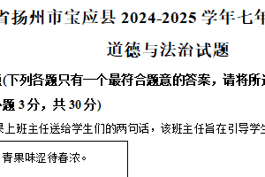 江苏省扬州市宝应县2024-2025学年七年级下学期期末道德与法治试题（含解析）