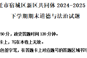 江苏省宿迁市宿城区新区共同体 2024-2025学年八年级下学期期末道德与法治试题（含解析）