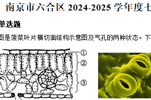 江苏省南京市六合区2024-2025学年七年级下学期期末生物试题（含解析）
